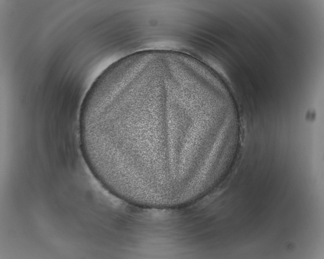 X0000113631087200910091550