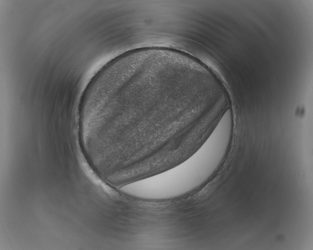 X0000113631088200910091550