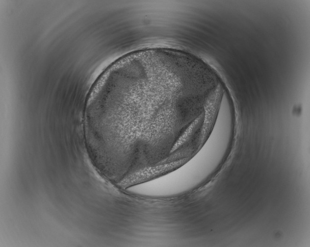 X0000113631089200910091550