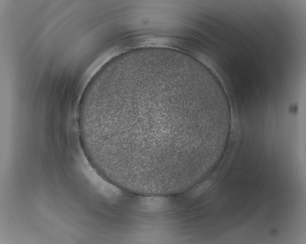 X0000113631090200910091550