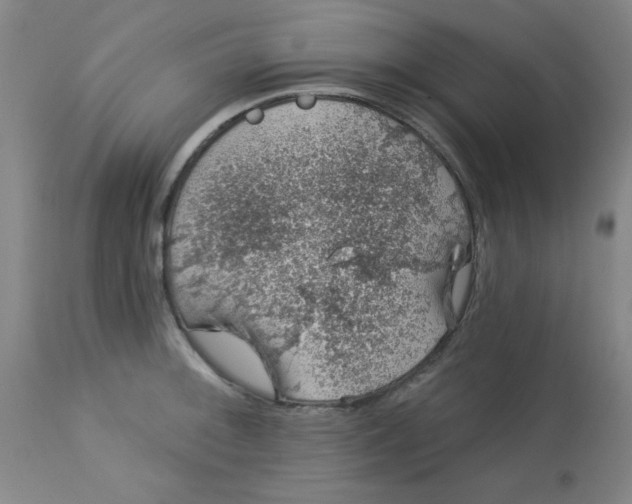 X0000113631092200910091550