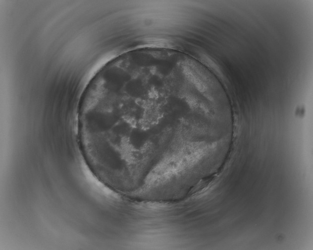 X0000113631095200910091550