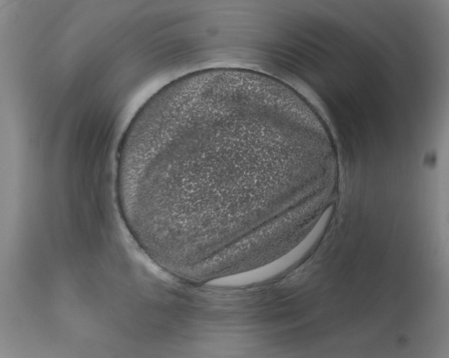 X0000113631096200910091550