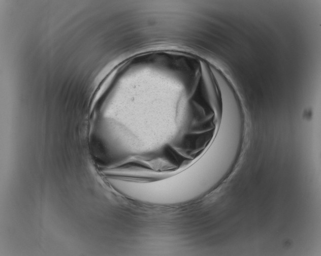 X0000113631097200910091550