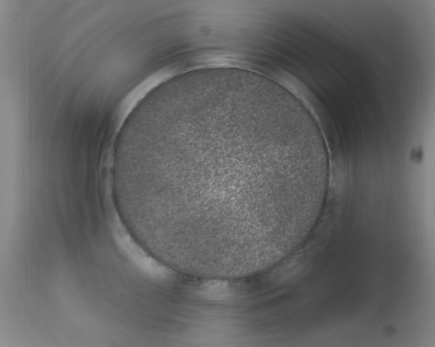 X0000113631098200910091550