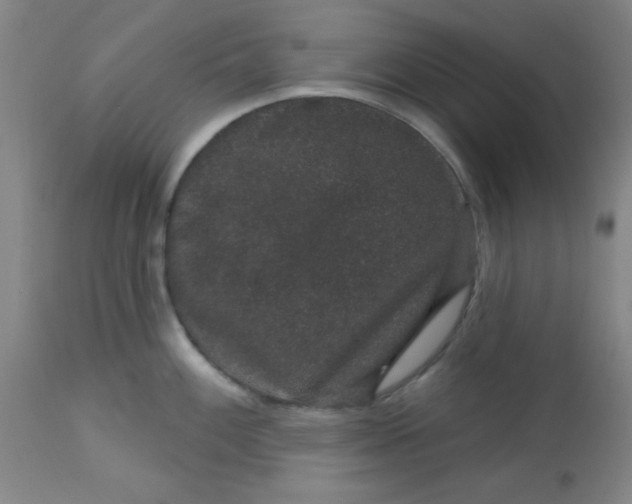 X0000113631100200910091550