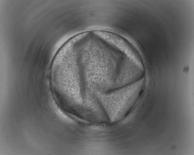 X0000113631102200910091550