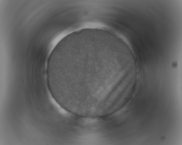 X0000113631103200910091550