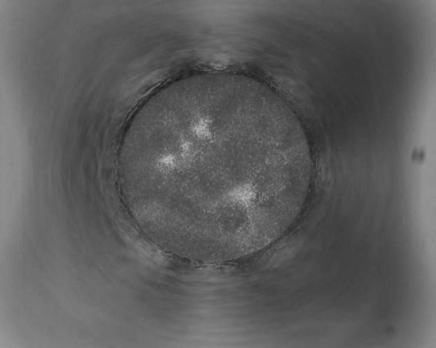 X0000113631105200910091549