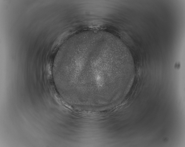 X0000113631106200910091549