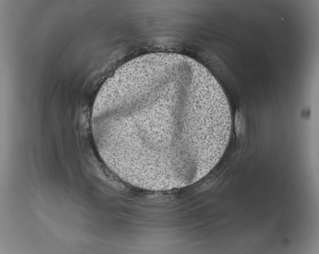 X0000113631107200910091549