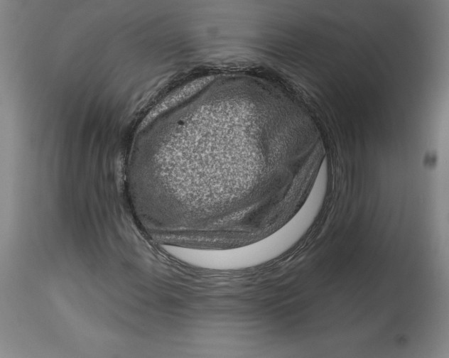X0000113631108200910091549