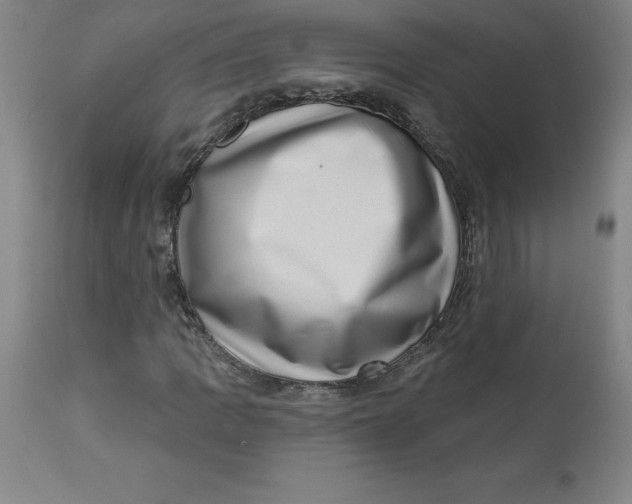 X0000113631109200910091549