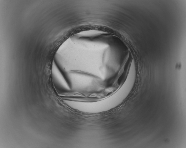 X0000113631110200910091549