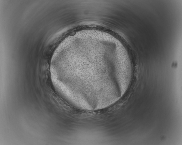 X0000113631111200910091549