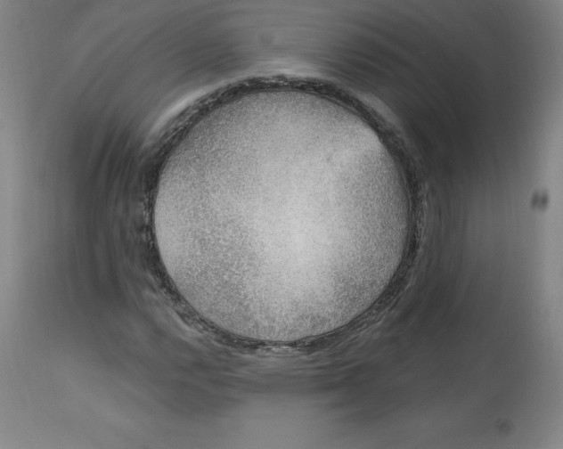 X0000113631112200910091549