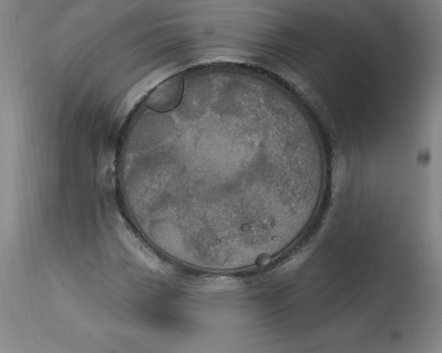 X0000113631113200910091549