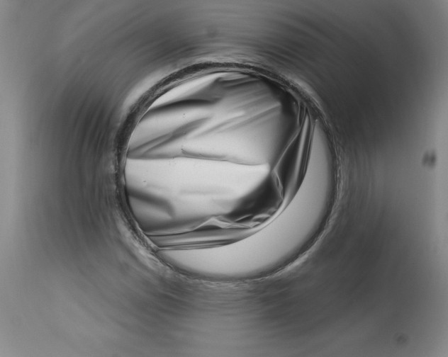X0000113631114200910091549