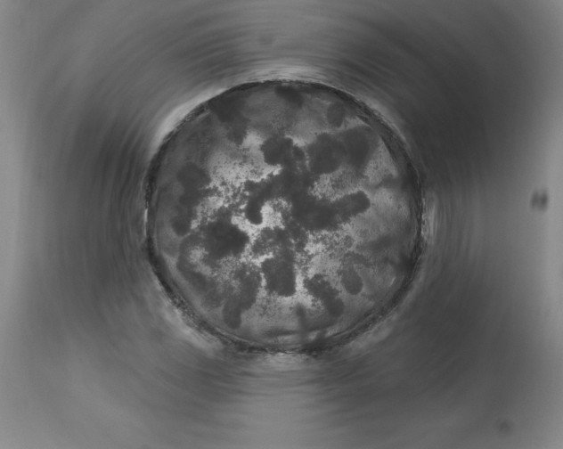 X0000113631117200910091549