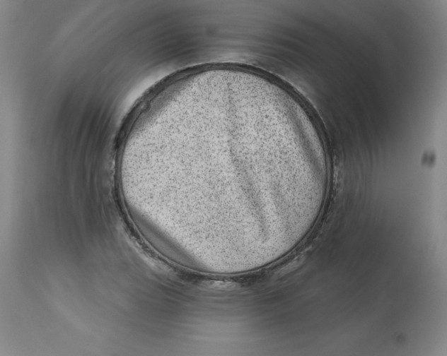 X0000113631119200910091549