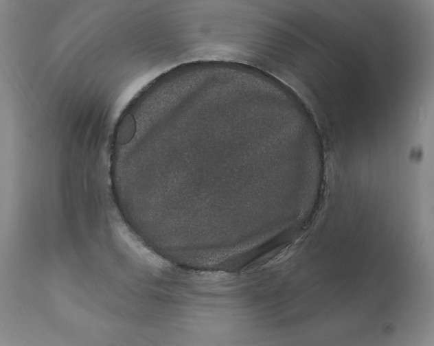 X0000113631120200910091549