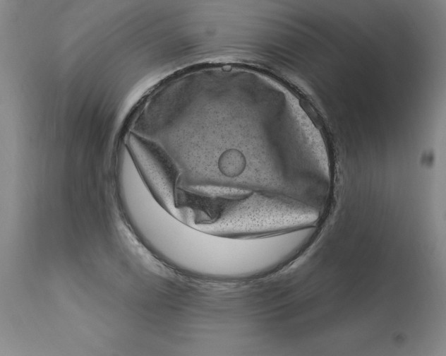 X0000113631122200910091549