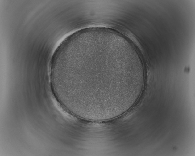 X0000113631124200910091549