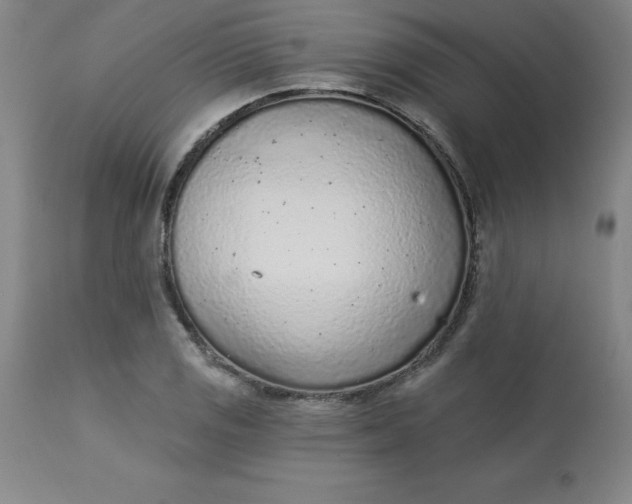 X0000113631125200910091549