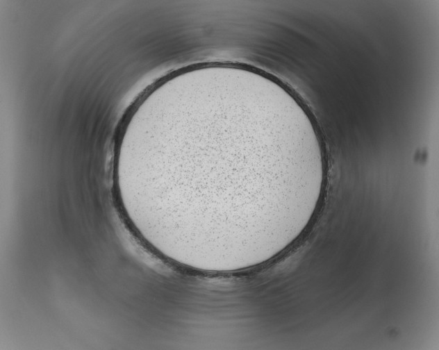 X0000113631126200910091549