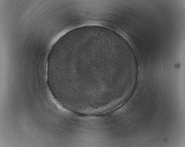 X0000113631127200910091549