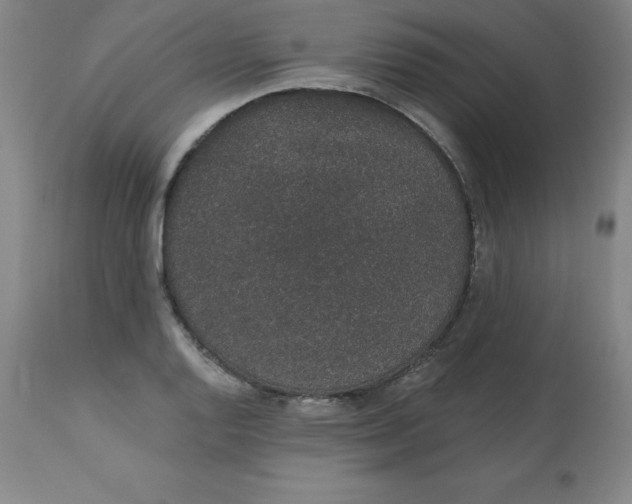 X0000113631128200910091549