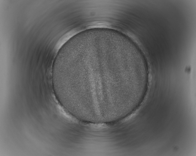 X0000113631129200910091549