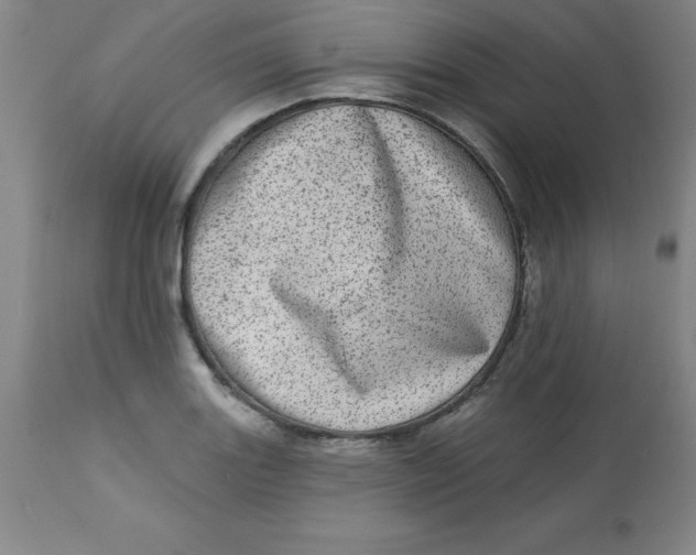 X0000113631131200910091549