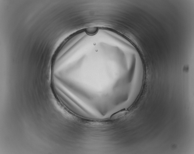 X0000113631132200910091549