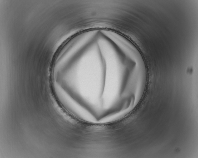 X0000113631134200910091549