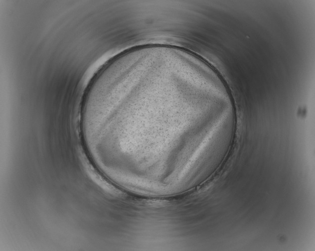 X0000113631136200910091549