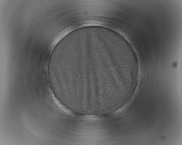 X0000113631137200910091549