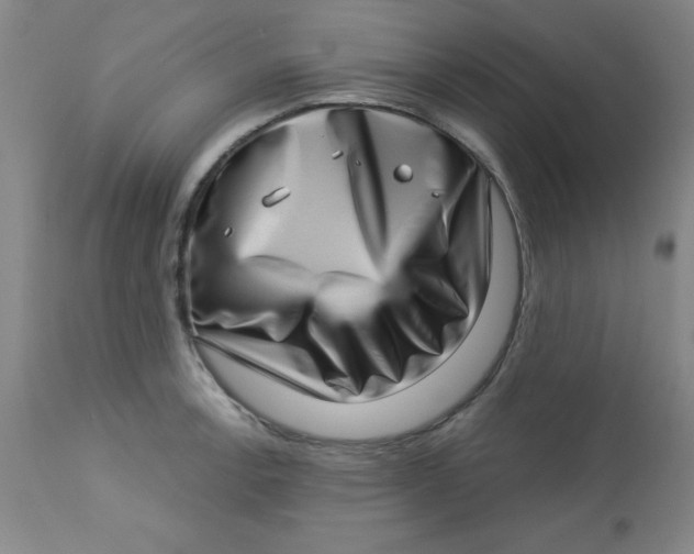 X0000113631138200910091549