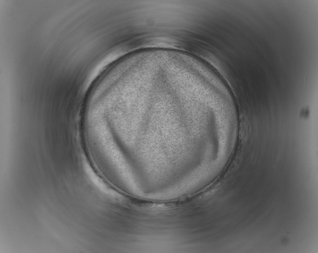 X0000113631139200910091549