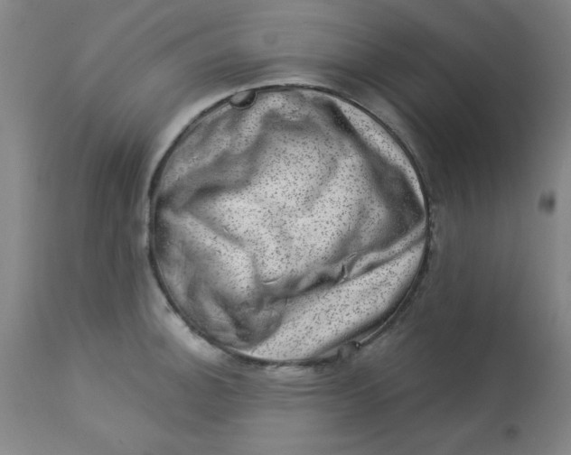 X0000113631140200910091549