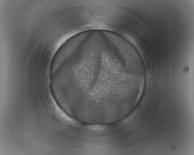 X0000113631141200910091549