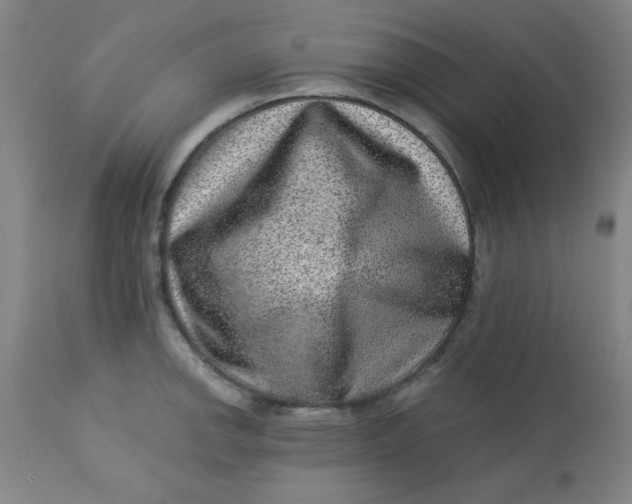 X0000113631142200910091549