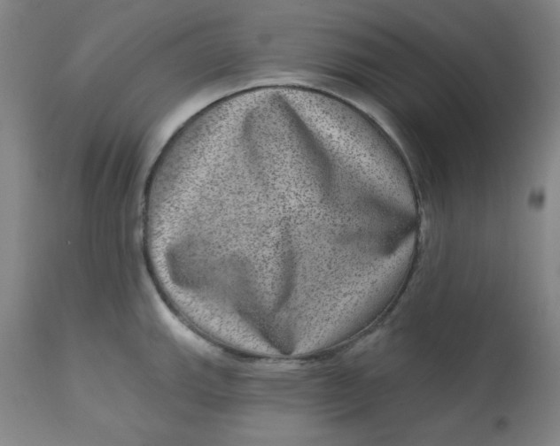 X0000113631143200910091549