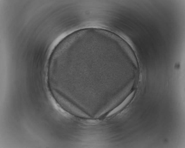 X0000113631144200910091549