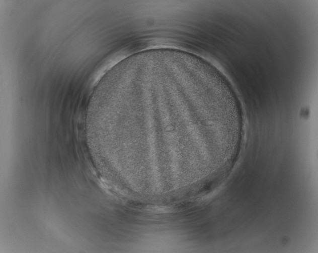 X0000113631145200910091550
