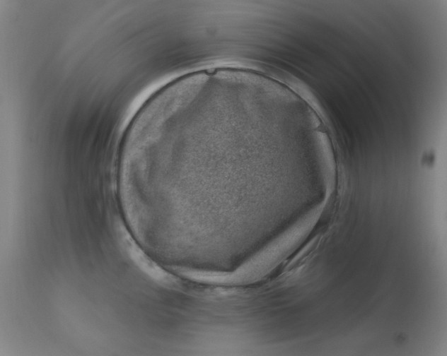X0000113631148200910091550