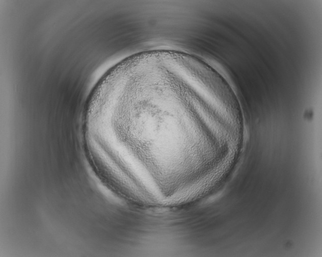 X0000113631149200910091550