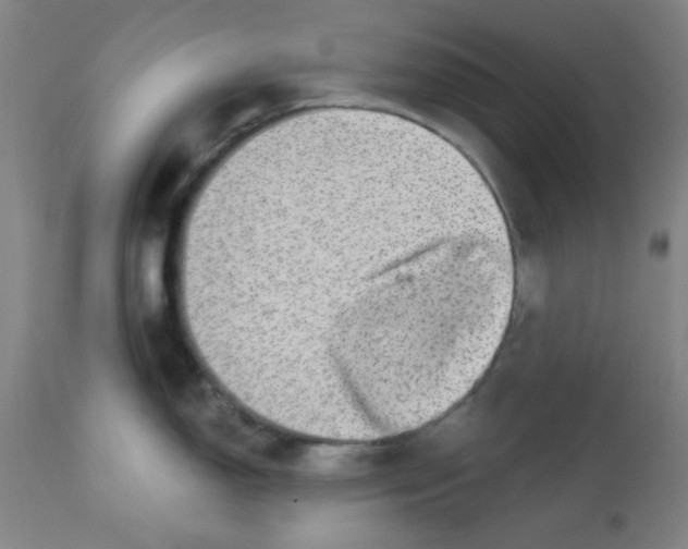 X0000113631150200910091550