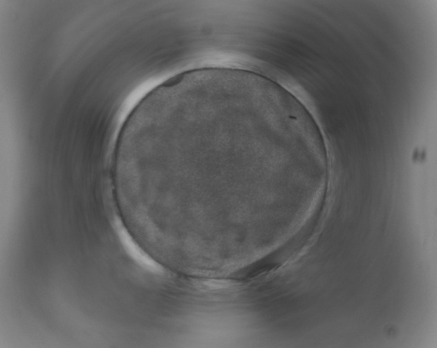 X0000113631152200910091550