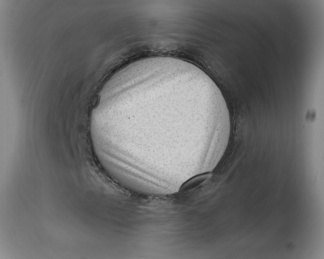 X0000113631153200910091549